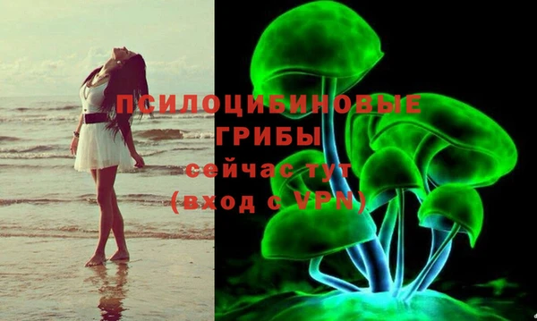 дживик Алексин