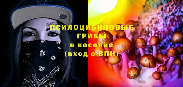 дживик Алексин
